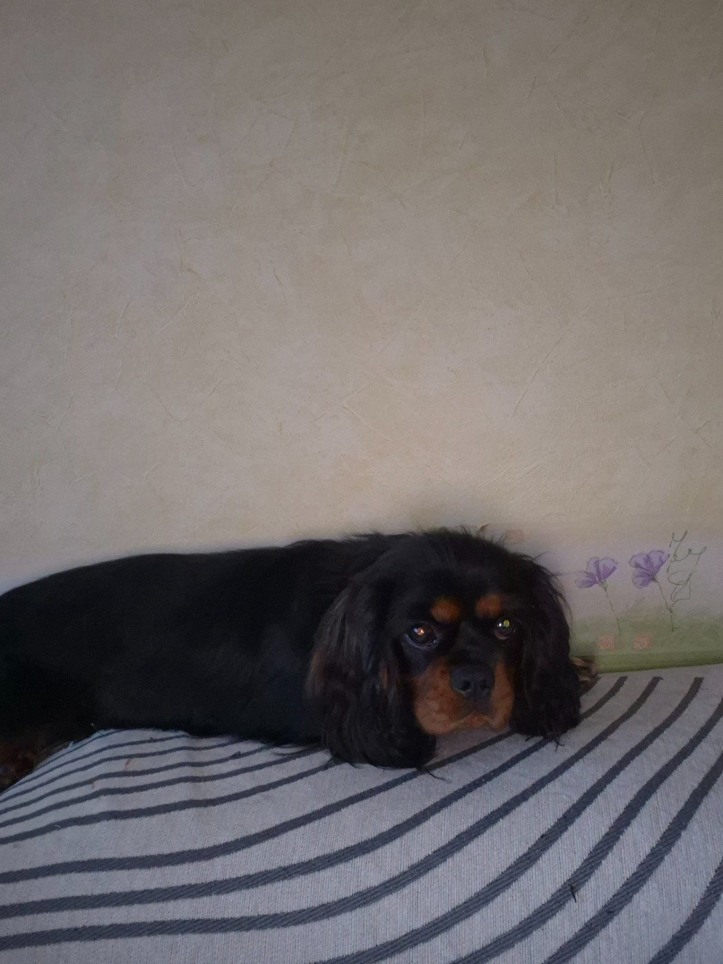 ATHENA NOM NAISSANCE ALICE (Sans Affixe)