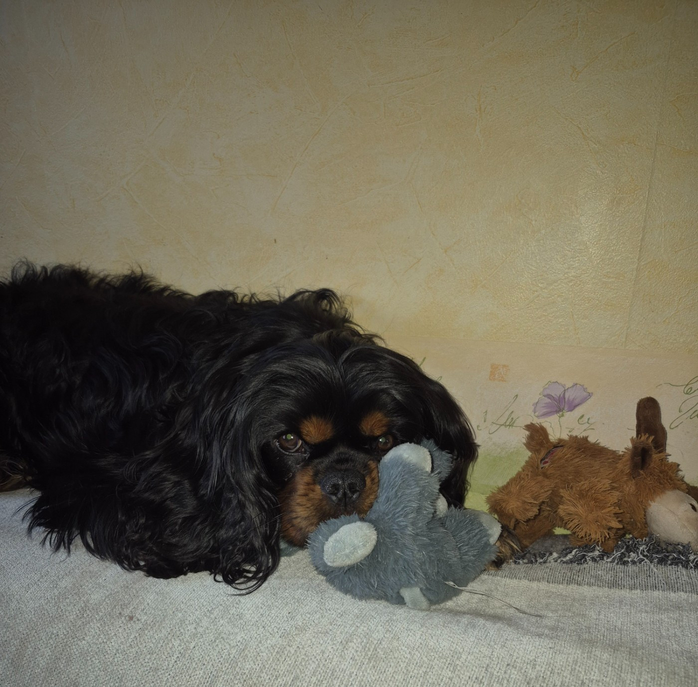 USKA Du Val De La Vezere